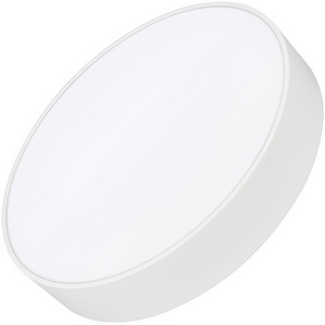 Потолочный светильник LED круглый SP-RONDO-R350-30W Warm3000 (WH, 120 deg, 230V) (Arlight, IP40 Металл) 034809