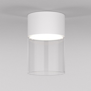 Светильник потолочный светодиодный Elektrostandard Lumen 25047/LED 10W 4000К белый/прозрачный