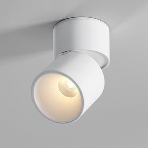 Светильник потолочный светодиодный Elektrostandard Rolly 25112/LED белый (128-4248)