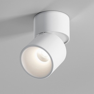 Светильник потолочный светодиодный Elektrostandard Rolly 25112/LED белый (128-4247)
