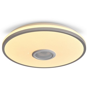 Потолочный светильник светодиодный умный дом Freya Rond FR6226CL-L36W 38Вт LED