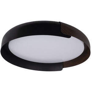 Потолочный светодиодный светильник круглый Loft It Coin 10198 Black