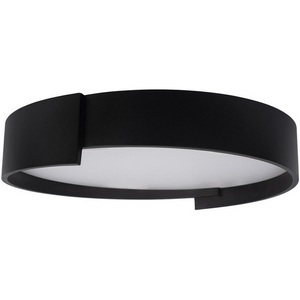 Потолочный светодиодный светильник круглый Loft It Coin 10200 Black