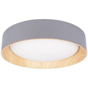 Потолочный светильник с плафоном из металла круглый светодиодный Loft It Coin 10202 Grey