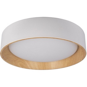 Потолочный светодиодный светильник круглый Loft It Coin 10202 White