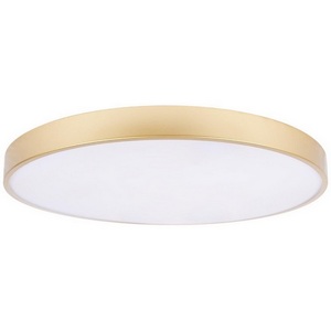 Потолочный светильник круглый LED Loft It Flims 10228/B