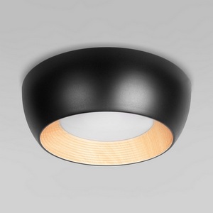 Потолочный светодиодный светильник круглый Loft It Folk 10255/350 Black