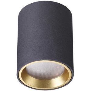 Накладной светильник влагозащищенный Odeon Light Aquana 4205/1C