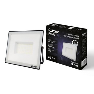 Прожектор уличный IP65 светодиодный Ritter PROFI 53418 5