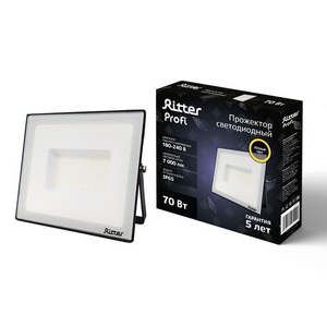 Прожектор уличный IP65 светодиодный Ritter PROFI 53429 1